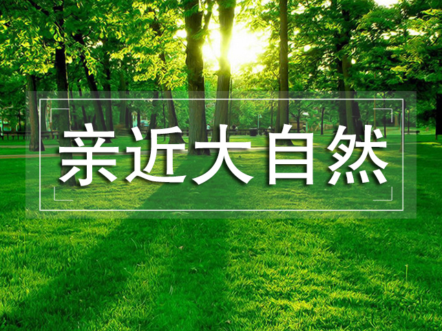 新闻资讯-高晶板_负离子生态硅晶板_医院集成吊顶_嵌入式隔帘轨道_医用隔帘_湖北星立方科技有限公司【官网】